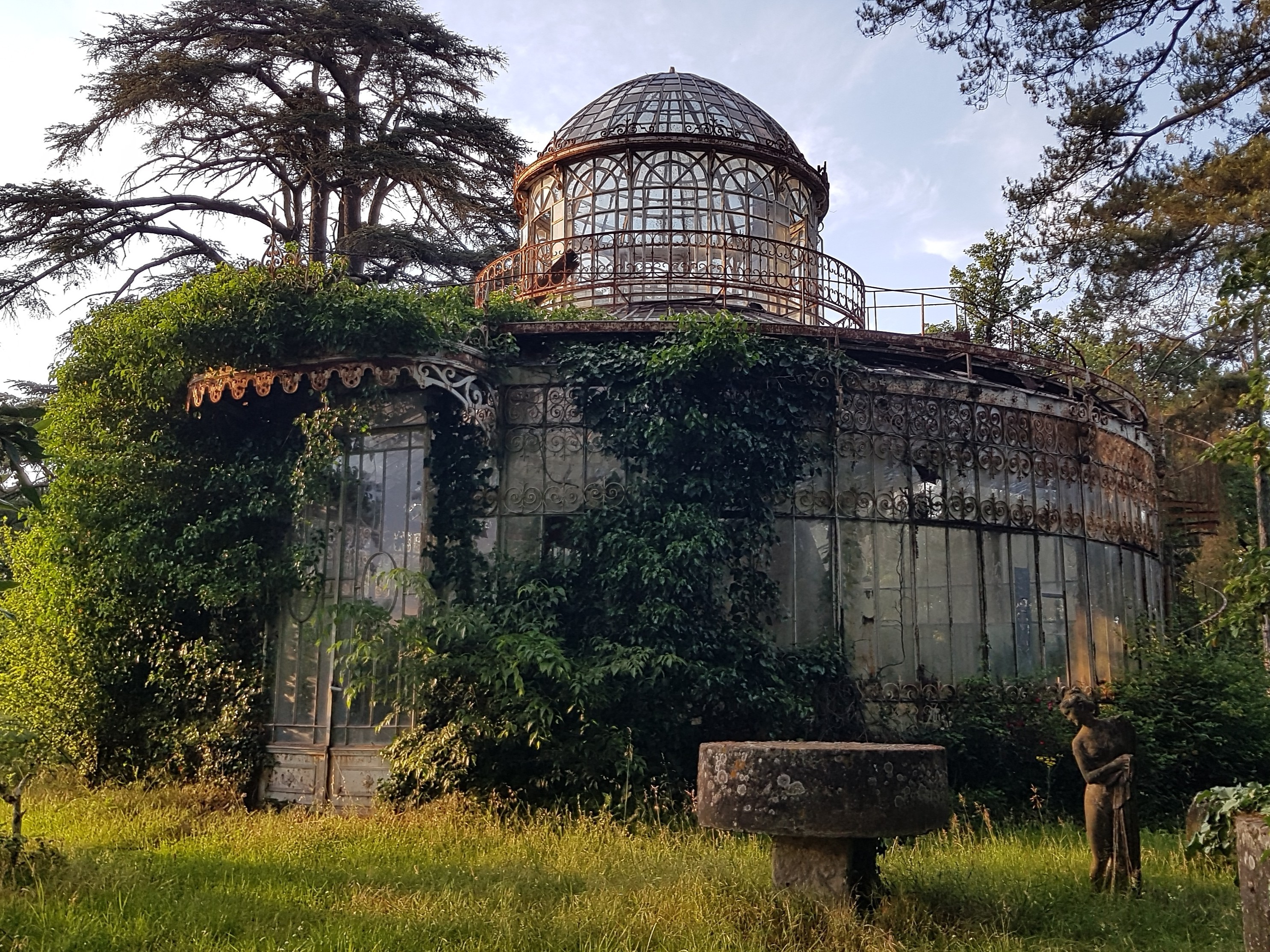 La serre du chirurgien
